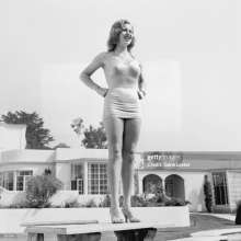 Gurph Morlicks: Lana Turner took a pie in her gorgeous face!