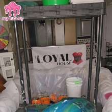 ItsJustDandy: Complete Self Trashing in the Loyal House Dungeon (Uncut)
