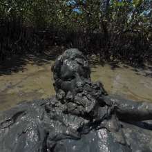 Goonology: Diving Into Smelly Black Sludge