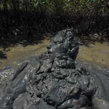 Goonology: Diving Into Smelly Black Sludge
