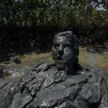 Goonology: Diving Into Smelly Black Sludge
