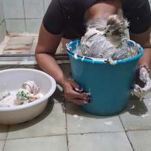KendraCreampie: Dunking and Fishing Objects