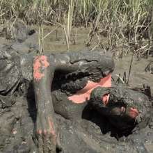 Goonology: Facefuls of Filth