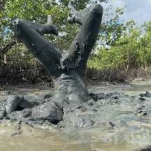 Goonology: Soles Out in Swamp Sludge