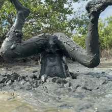 Goonology: Soles Out in Swamp Sludge
