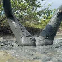Goonology: Soles Out in Swamp Sludge