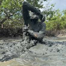 Goonology: Soles Out in Swamp Sludge