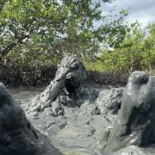 Goonology: Soles Out in Swamp Sludge