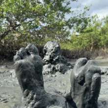 Goonology: Soles Out in Swamp Sludge