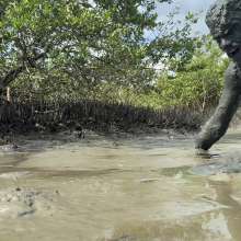 Goonology: Soles Out in Swamp Sludge
