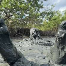 Goonology: Soles Out in Swamp Sludge