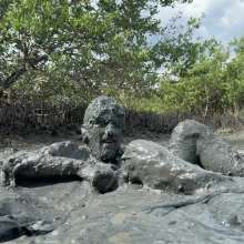 Goonology: Soles Out in Swamp Sludge