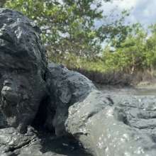 Goonology: Soles Out in Swamp Sludge