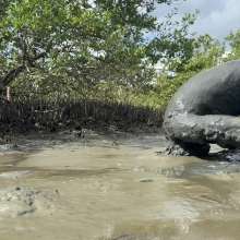Goonology: Soles Out in Swamp Sludge