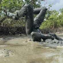 Goonology: Soles Out in Swamp Sludge
