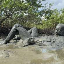 Goonology: Soles Out in Swamp Sludge