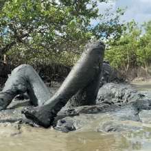 Goonology: Soles Out in Swamp Sludge