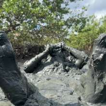 Goonology: Soles Out in Swamp Sludge