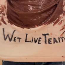 Your Wet Cat: Fox Vs Nutella Sweet Chaos on a T-Shirt!