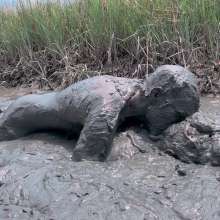 Messy Temptress: Mucked and Fucked by a Horny Swamp Spirit