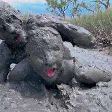 Messy Temptress: Mucked and Fucked by a Horny Swamp Spirit