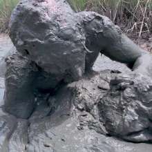 Messy Temptress: Mucked and Fucked by a Horny Swamp Spirit