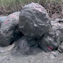 Messy Temptress: Mucked and Fucked by a Horny Swamp Spirit