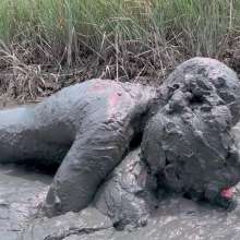 Messy Temptress: Mucked and Fucked by a Horny Swamp Spirit
