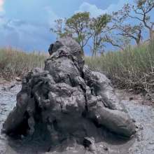 Messy Temptress: Mucked and Fucked by a Horny Swamp Spirit