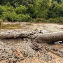 TannerQS: Getting My Insides Rearranged in Mud