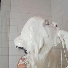 Messy Temptress: Gooey Blowjob with Sticky Marshmallow and Strawberry Syrup