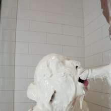 Messy Temptress: Gooey Blowjob with Sticky Marshmallow and Strawberry Syrup