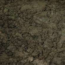 QS4Ever: Lucy in Alternative Farm Clay