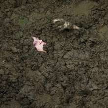 QS4Ever: Lucy in Alternative Farm Clay