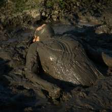 dlodoski: Mia's Hilltop Mud Arousal--Photos