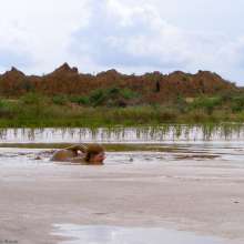 dlodoski: Clay Pit Orientation, Ultimate Edit--Photos