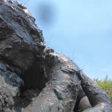 Messy Temptress: Muddy Makeout + Filthy Fucking in the Swamp!
