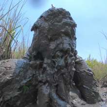 Messy Temptress: Muddy Makeout + Filthy Fucking in the Swamp!