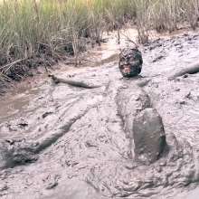 Messy Temptress: Muddy Fun in Converse and Fishnets