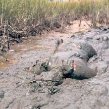Messy Temptress: Possessed and Humiliated by a Mud Spirit