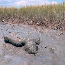 Messy Temptress: Possessed and Humiliated by a Mud Spirit