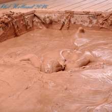 Dirty Muse: 