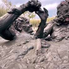Messy Temptress: Sloppy Handjob in the Mud