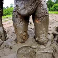 TannerQS: Tanner's Bussy Fucking Deep Mud Gasms (two Episodes)