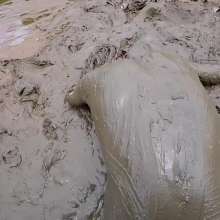 TannerQS: Tanner's Bussy Fucking Deep Mud Gasms (two Episodes)