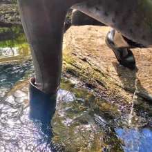 WetandMuddy: Video 113--Beck-oning to Me