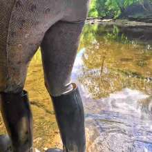 WetandMuddy: Video 113--Beck-oning to Me