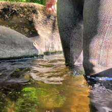WetandMuddy: Video 113--Beck-oning to Me