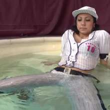 wamtec: Wetlook Cosplay Session--Baseball Girl
