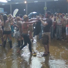 mudboy79: holione fest in brum